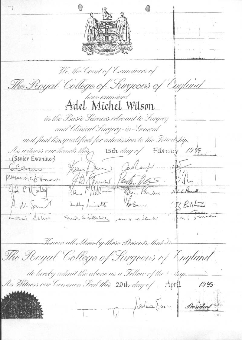 Egypt Cairo plastic cosmetic surgery Dr Adel Wilson certificatestestimonials 
