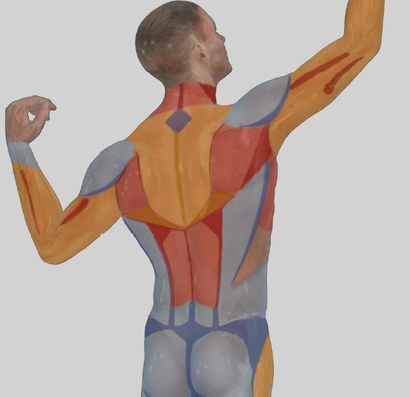 High Definition Liposculpture, Vaser Liposculpture, 4D Liposculpture, Laser