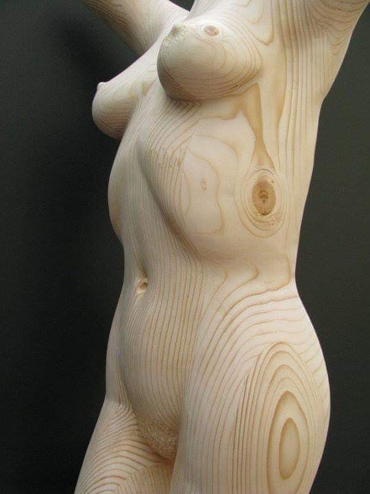 Laser Liposculpture and Vaser Liposculpture and 4D Liposculptures