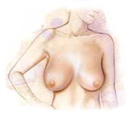 Egypt Cairo plastic cosmetic surgery breast reduction face lift laser nose