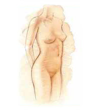 Egypt Laser Liposuction, Egypt Vaser Liposculpture, Egypt Liposculpture