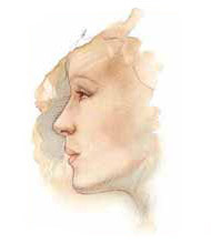Egypt, Cairo, Cosmetic, Plastic,hand, burns, laser, mesotherapy, breast, nose, f