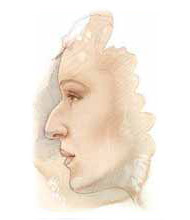 Egypt, Cairo, Plastic, Cosmetic, Surgery, face, Nose, Breast, Liposuction, hand