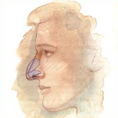 Egypt Cairo Plastic Cosmetic Surgery Dr. Adel Wilson
